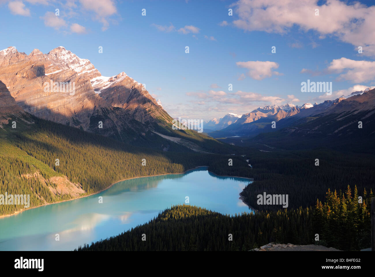Peyto Lake in Banff National Park, Canadian Rockies Stock Photo - Alamy