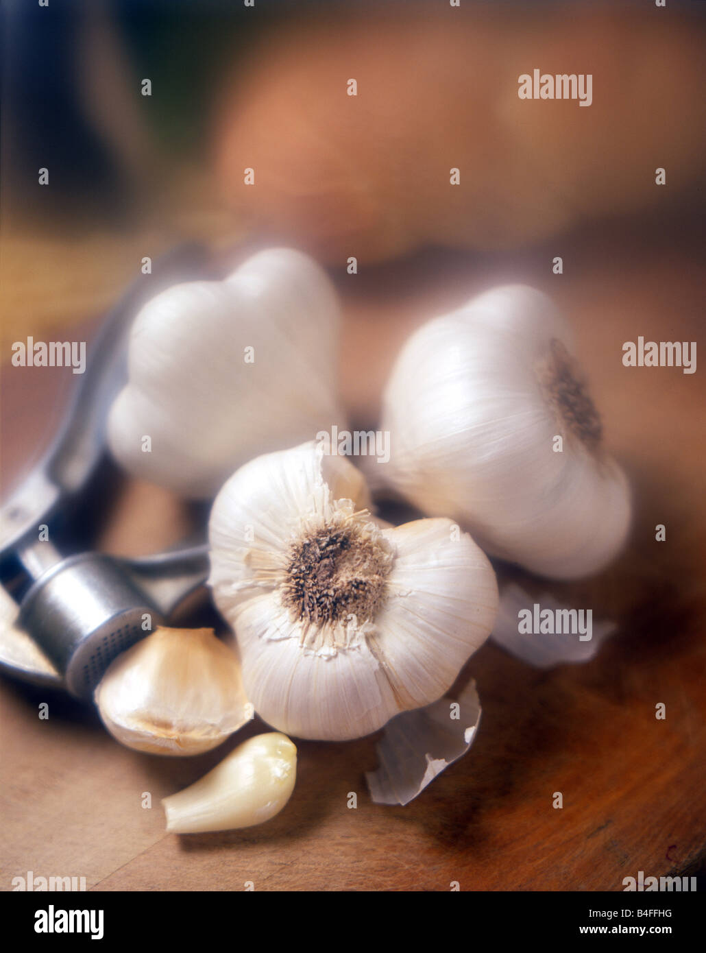 Head and cloves of garlic Stock Photo Alamy