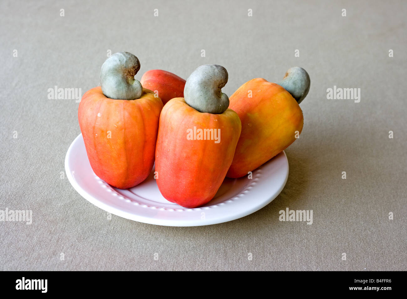 Cashew fruit and nut on a white porcelain saucer Stock Photo Alamy