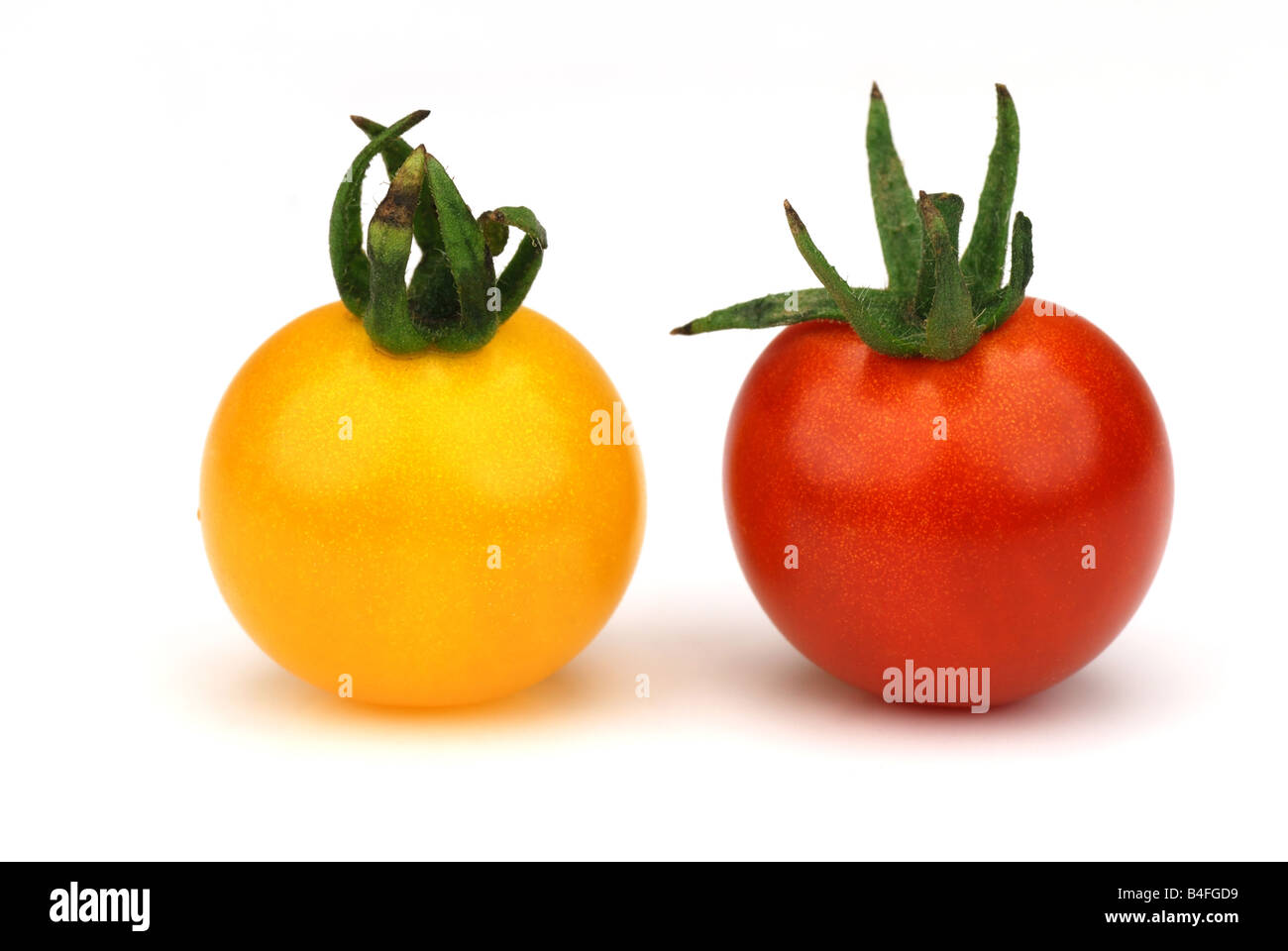 Red and yellow tomato fruit isolated on white background Stock Photo ...