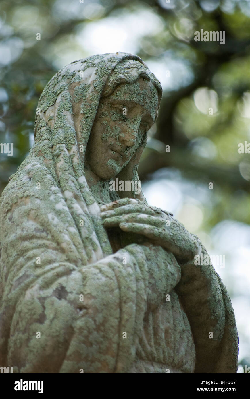 Statue of the virgin mary an old cemetery burial ground in downtown