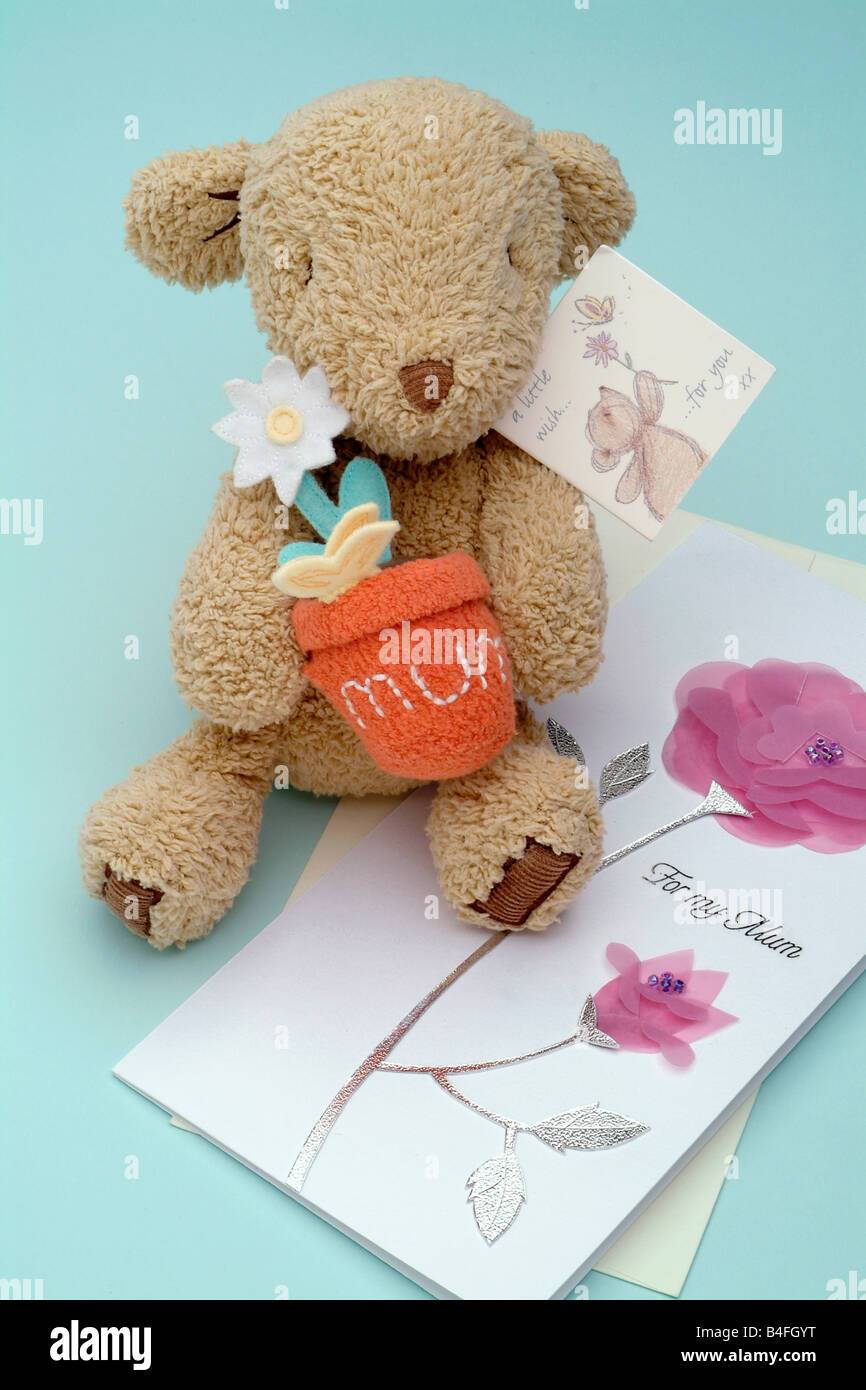 Cuddly bear hi-res stock photography and images - Alamy