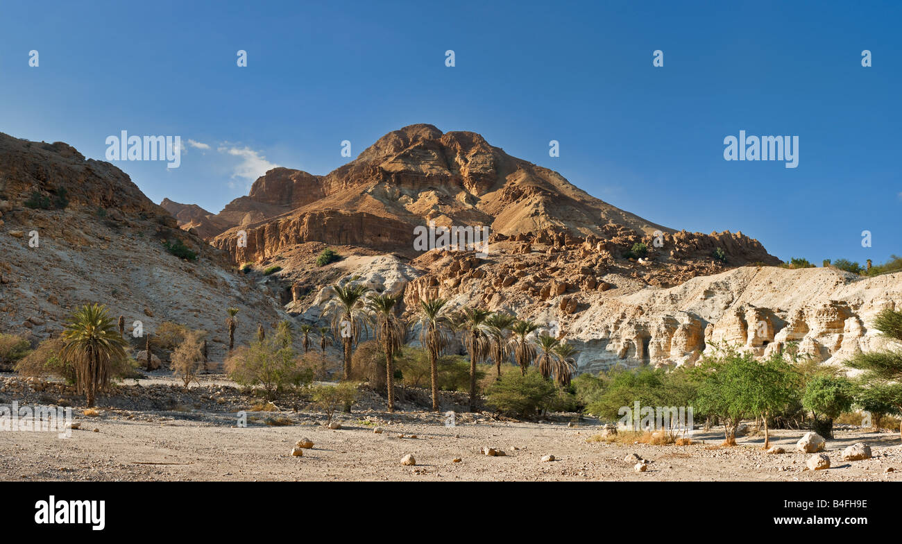 Red mountain in Ein Gedi National park, Israel Stock Photo