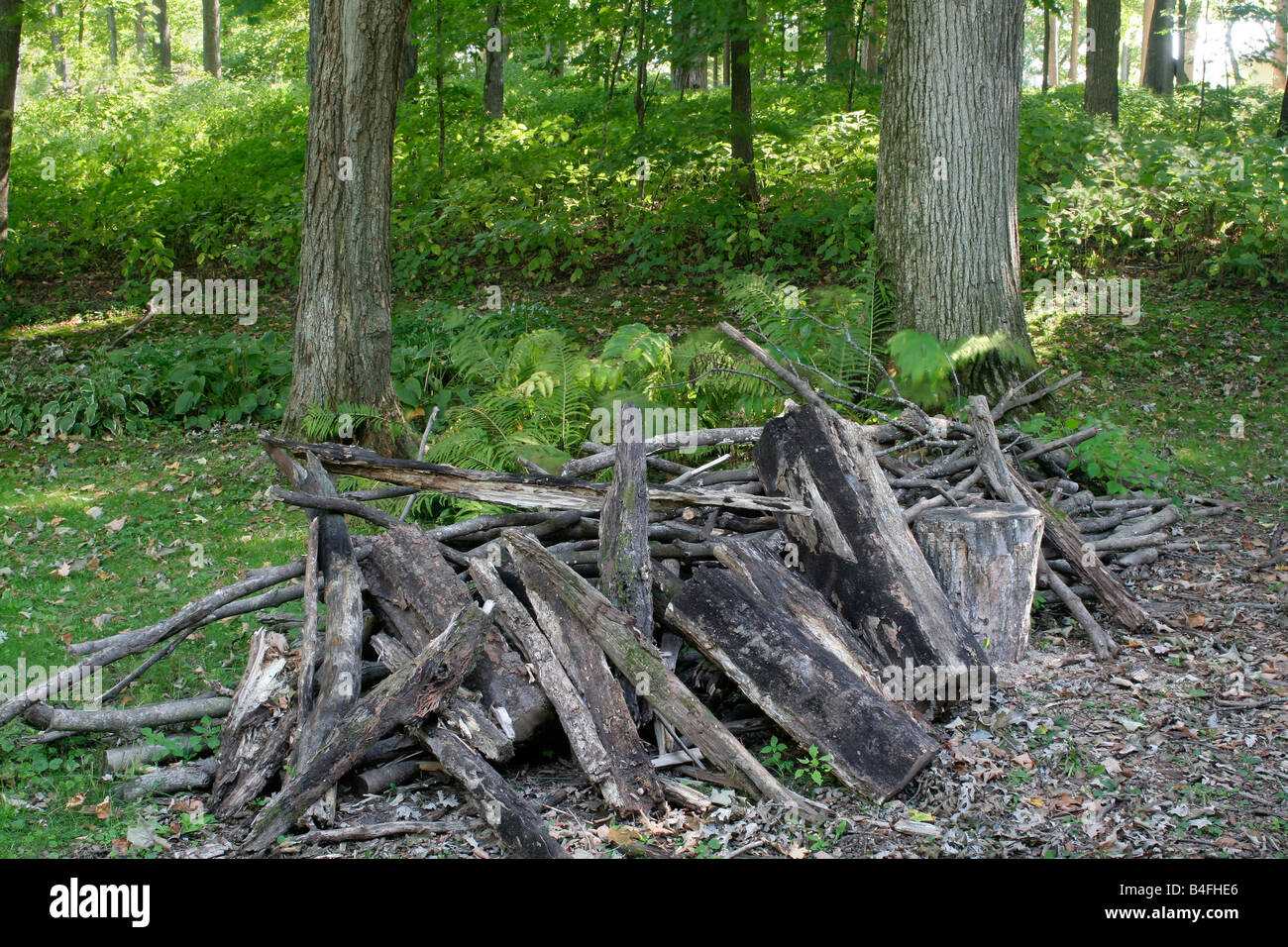 Firewood pile waiting sawing into stovewood Stock Photo Alamy