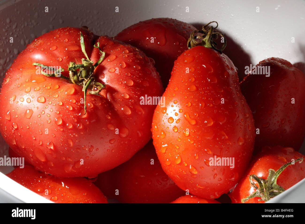 Bowl of fresh Red tomatoes Stock Photo - Alamy