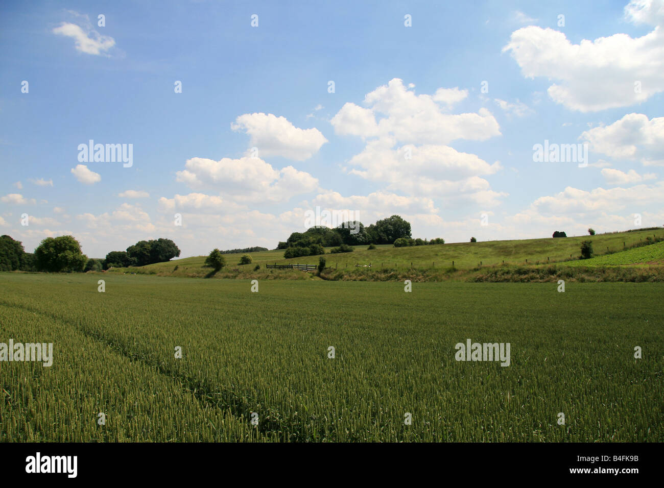 A view of the Hawthorn Ridge mine crater, near Beaumont Hamel, France ...