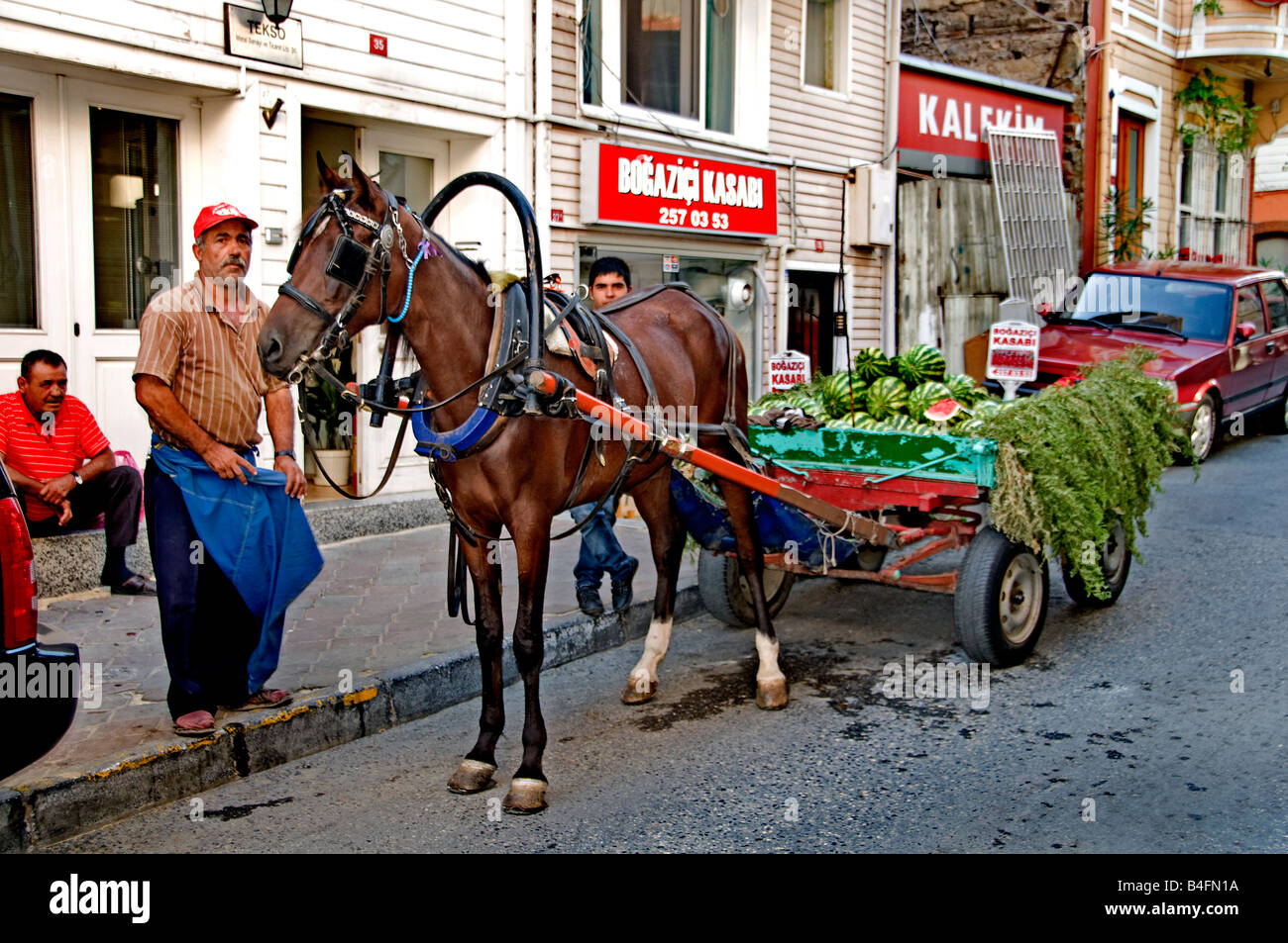 Bebek Istanbul Man Horse Cart Greengrocer Stock Photo