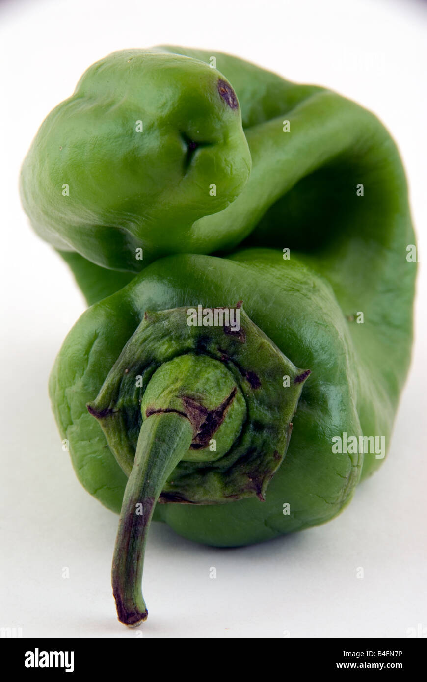 sweet pepper green Stock Photo Alamy