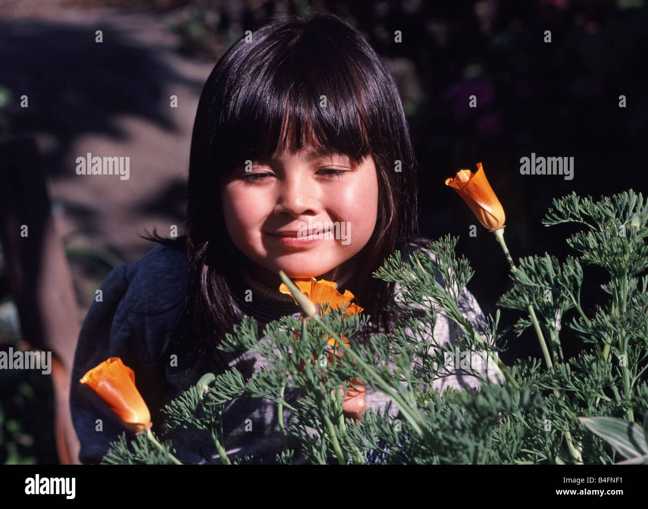 girl enjoys California poppies blossoms Stock Photo