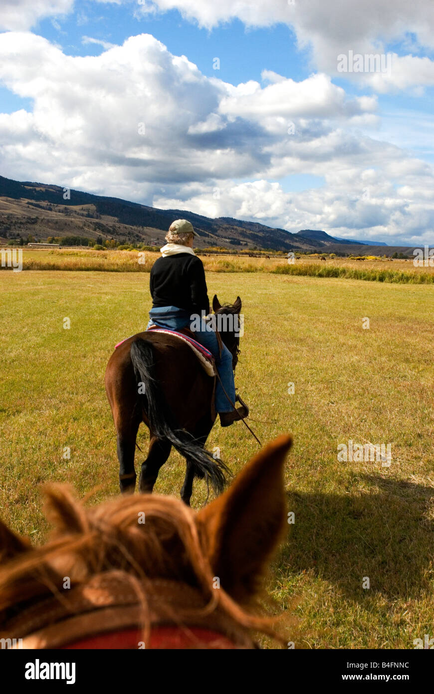 Horseback riding in Wyoming Stock Photo Alamy