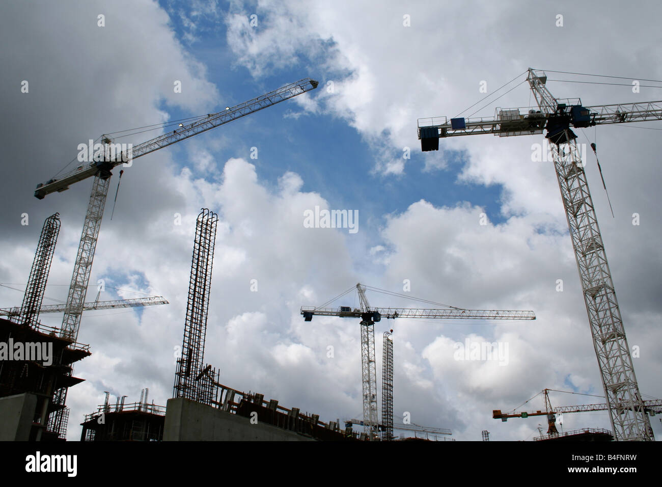 Cranes In The Sky Stock Photo Alamy