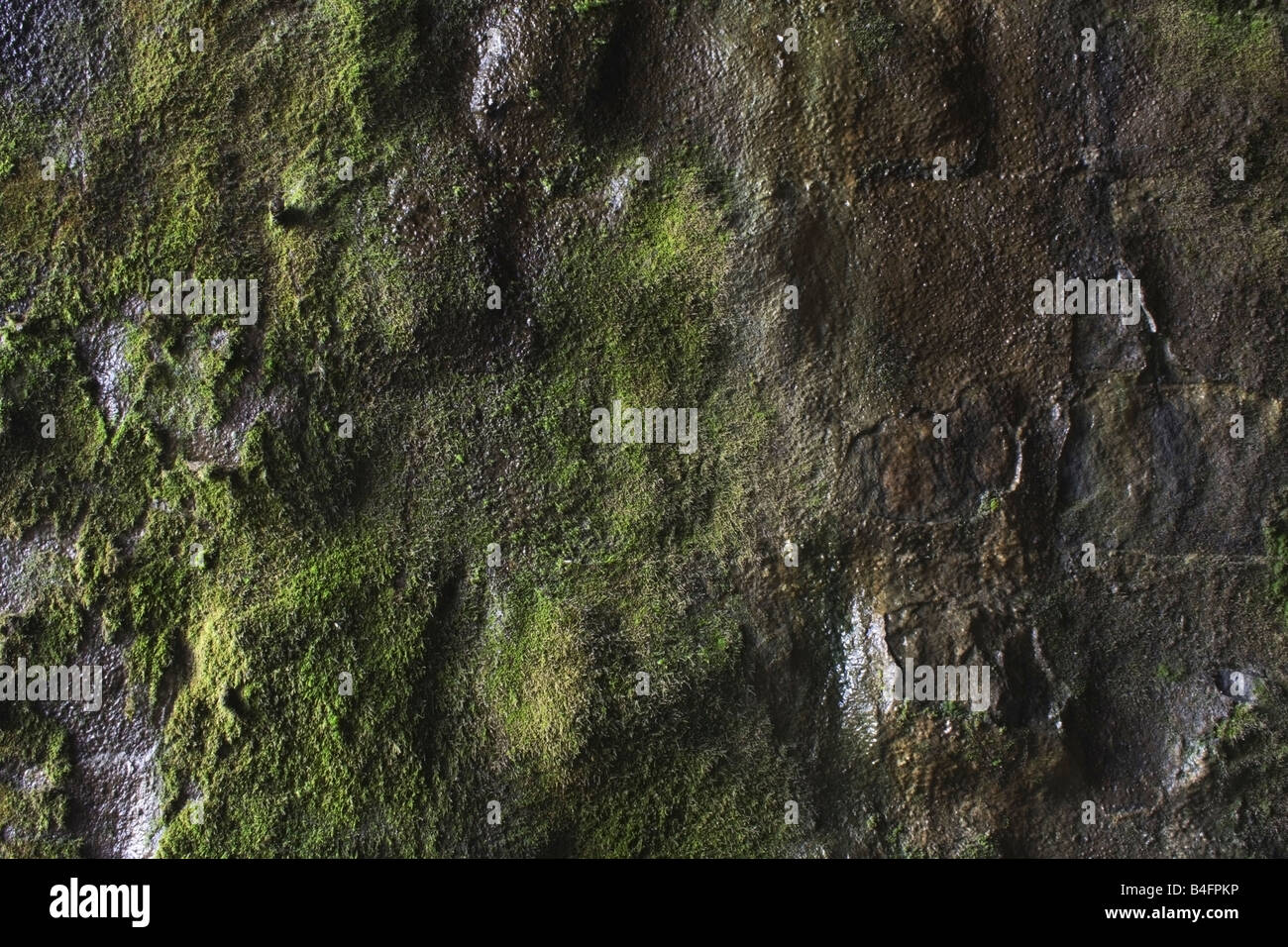backgroud of ashlar masonry overgrown with mosses because of moisture Stock Photo