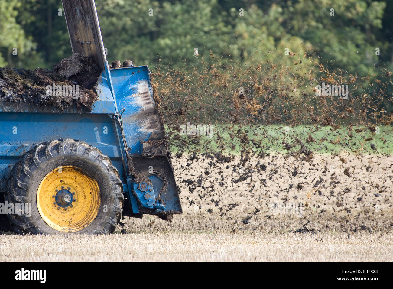 Spreading Farm Yard Manure On Stubble Land Stock Photo Alamy