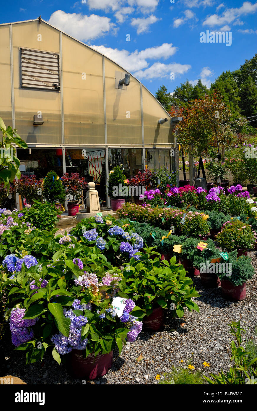 Colorful flowers outside one of the many greenhouses at Soergel
