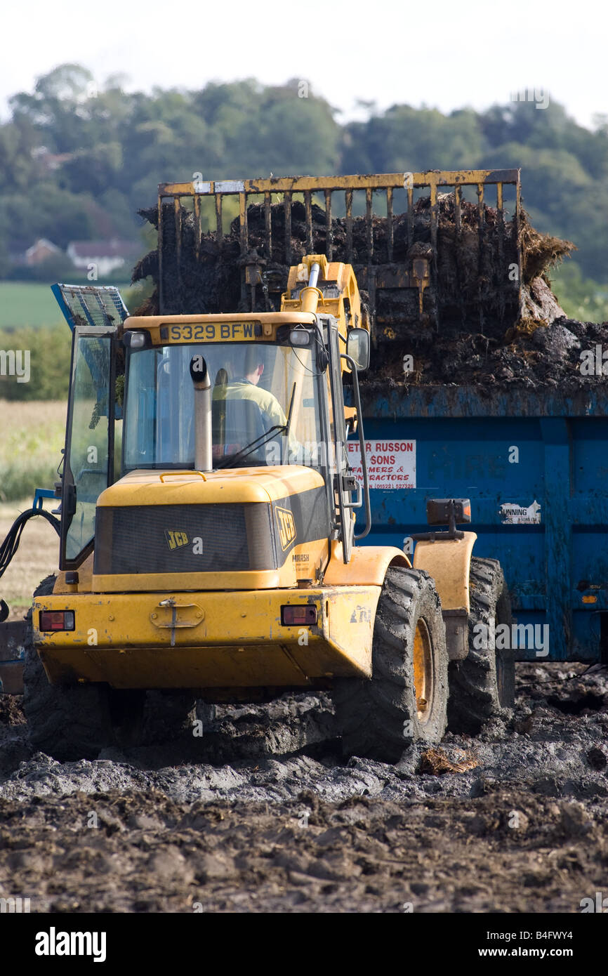 Spreading Farm Yard Manure On Stubble Land Stock Photo Alamy