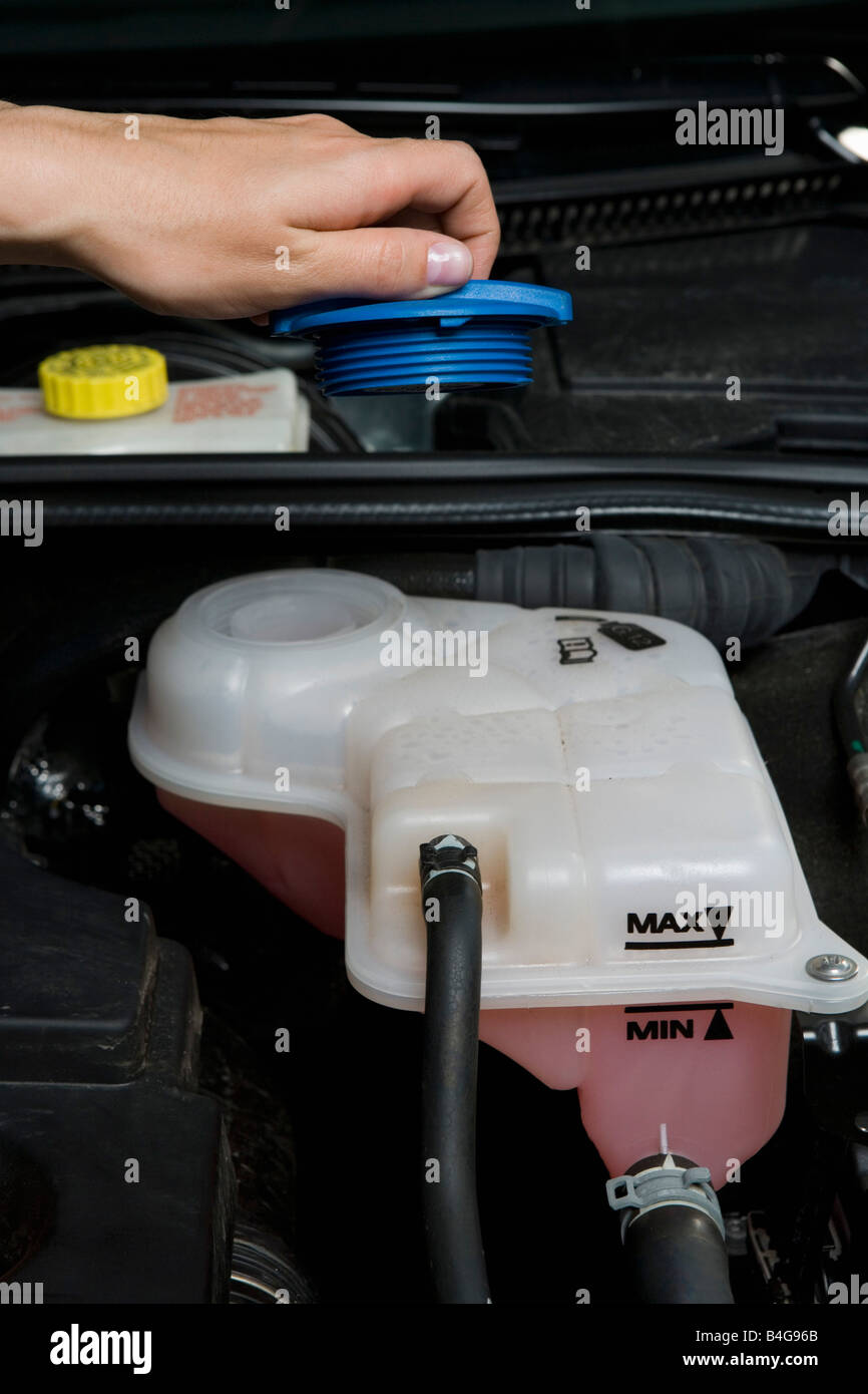 Checking the water in a car engine Stock Photo Alamy