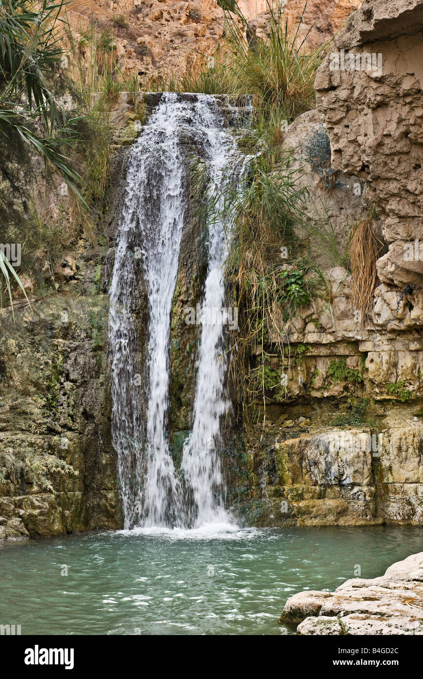Waterfall in Ein Gedi National park, Israel Stock Photo