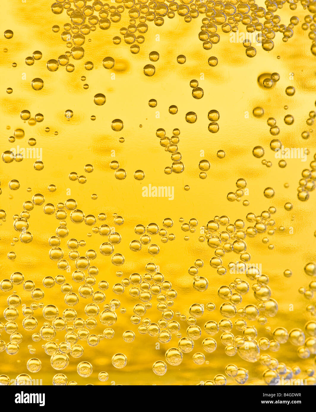 Beer bubbles close up Stock Photo