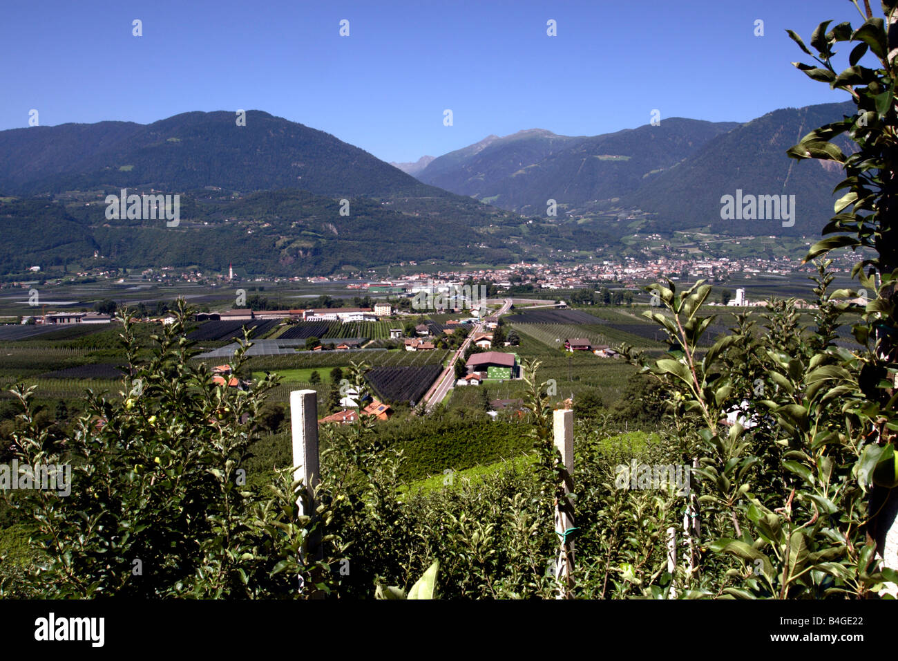 View from orchards above town of Postal-Burgstall to Lana, in South Tyrol region, Italy Stock Photo
