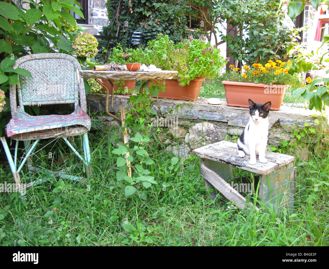 GREECE. The Pelion Peninsula. A rustic garden scene in the village of Damouchari. Stock Photo