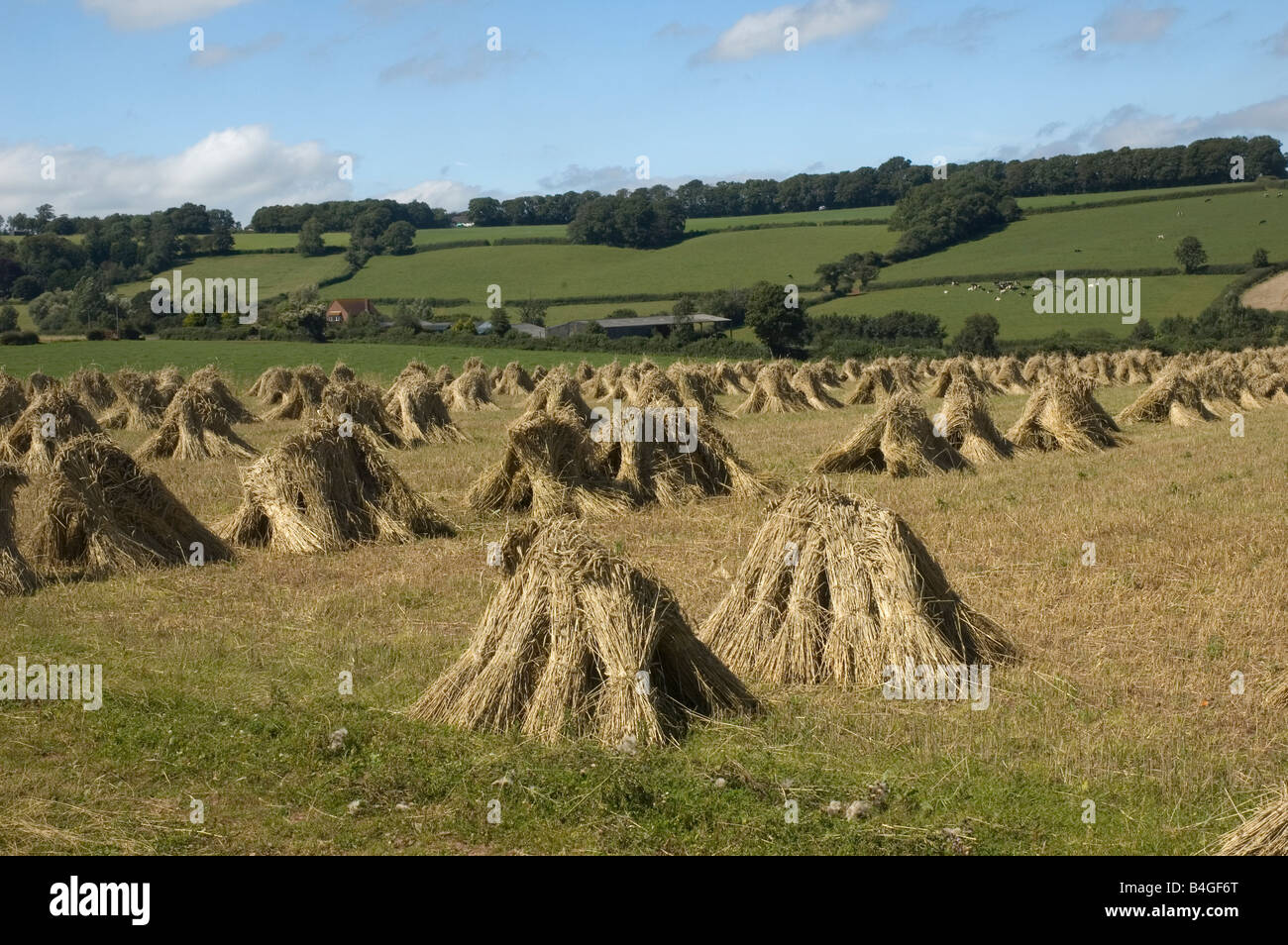 Hay winter festival hires stock photography and images Alamy