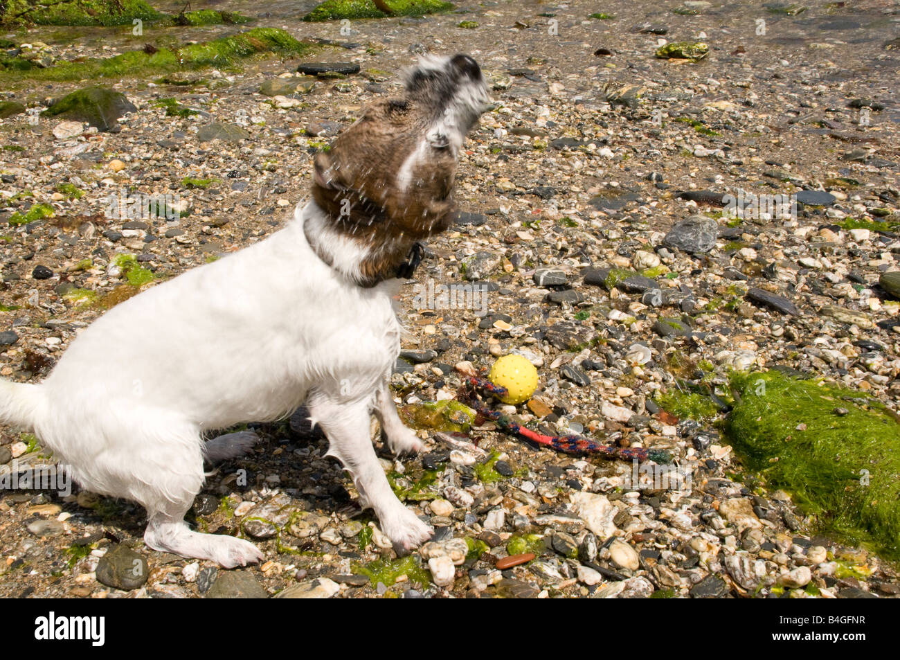 Parsons beach hires stock photography and images Alamy