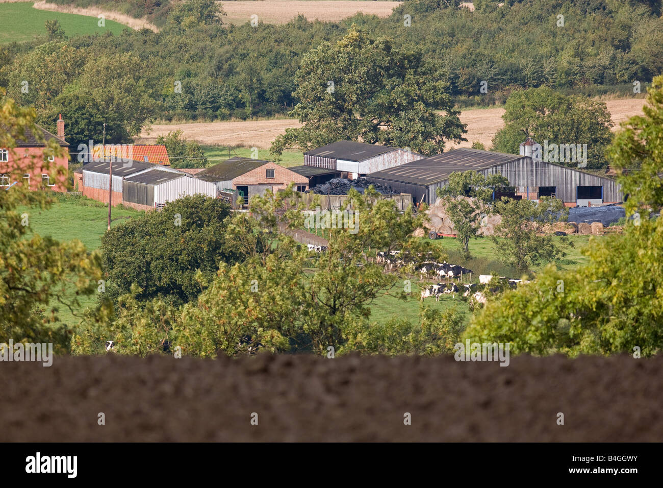 Dairy Farm In Rolling Leicestershire Countryside Stock Photo Alamy