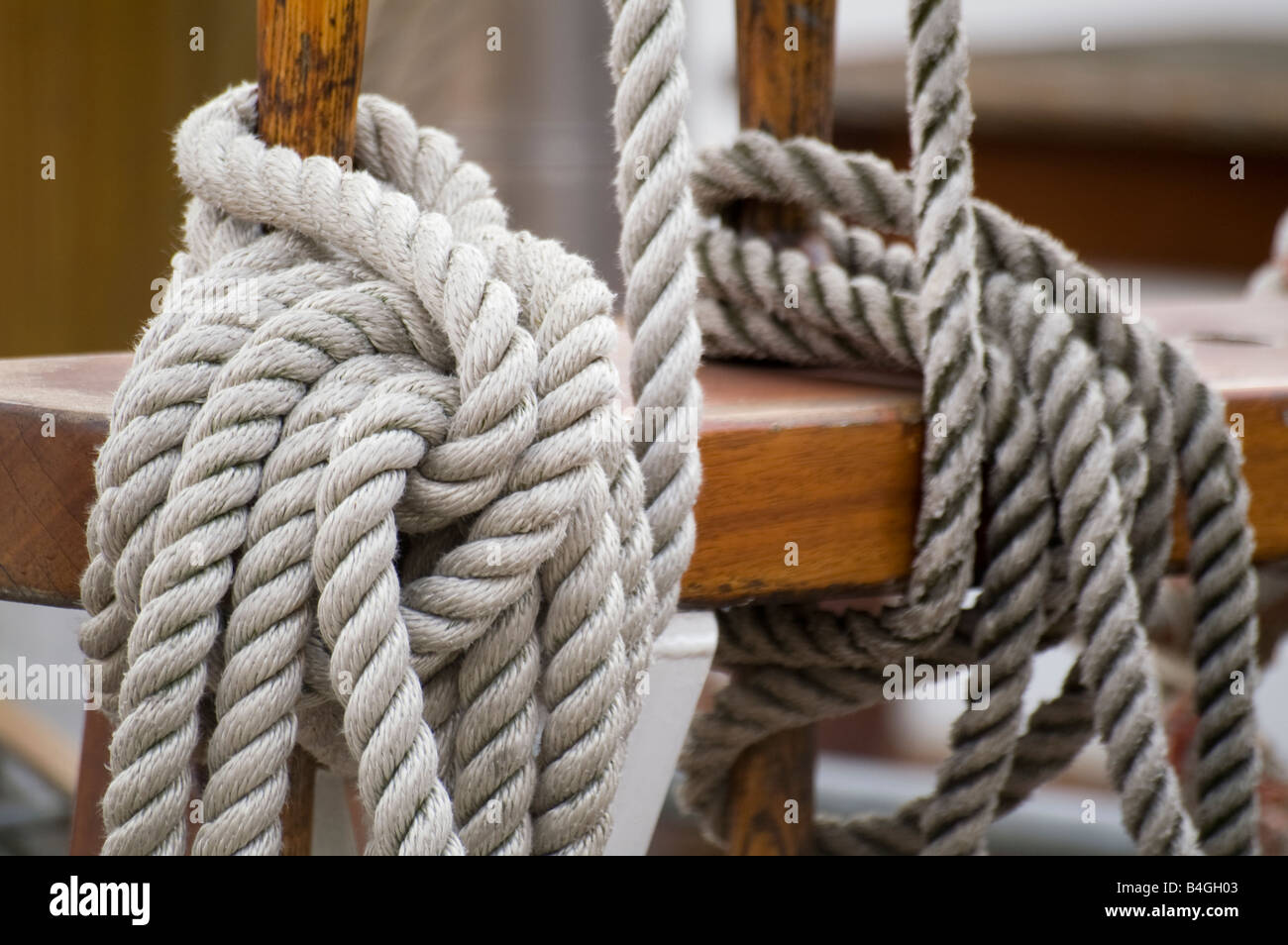 Node hi-res stock photography and images - Alamy