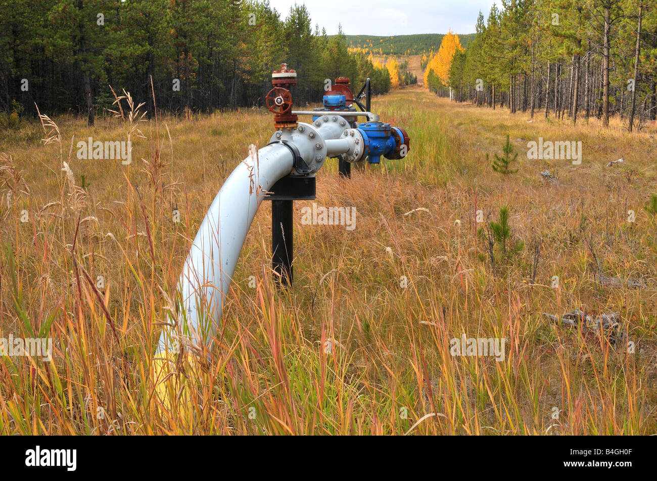 Gas pipeline 0812 Stock Photo