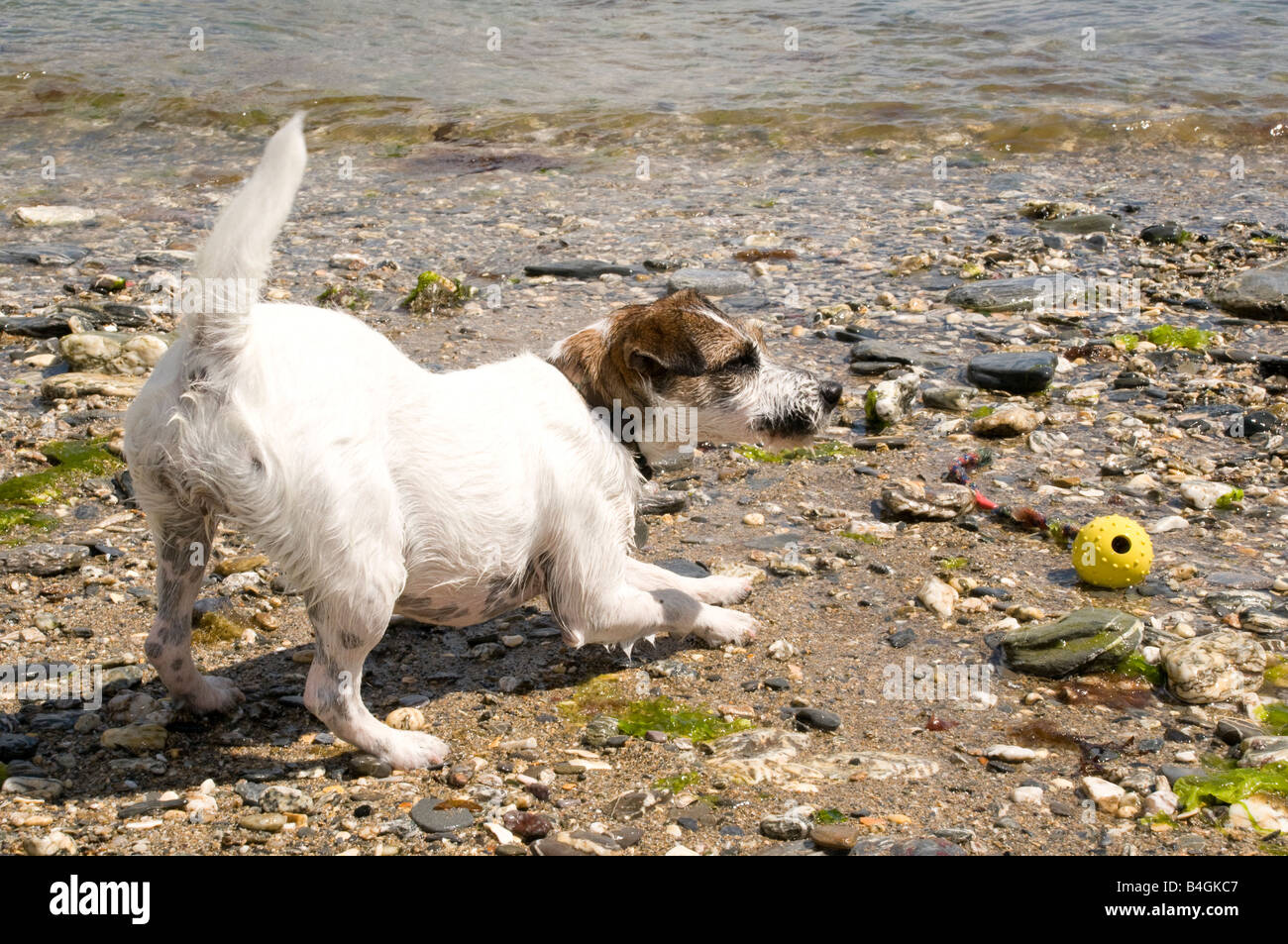 Parsons beach hires stock photography and images Alamy
