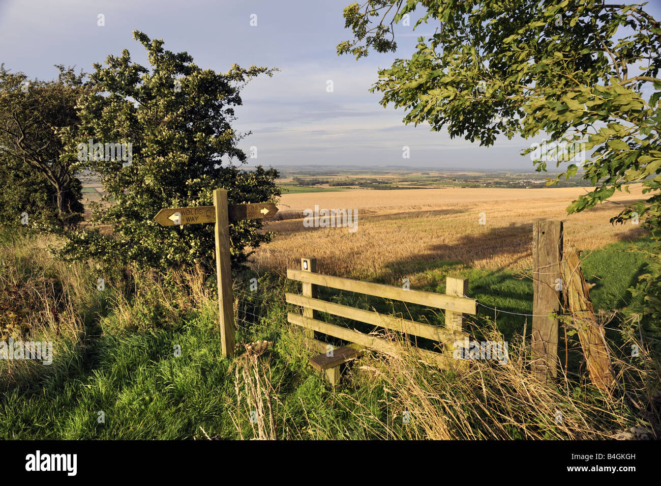 The Yorkshire Wolds Way National Trail near East Heslerton, North Yorkshire Stock Photo