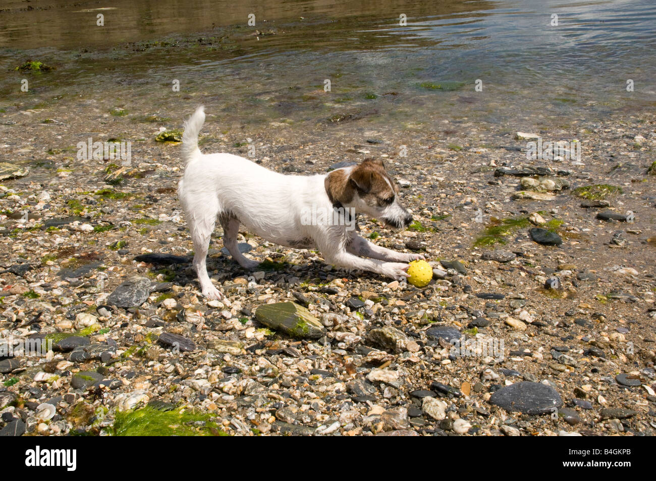 Parsons beach hires stock photography and images Alamy