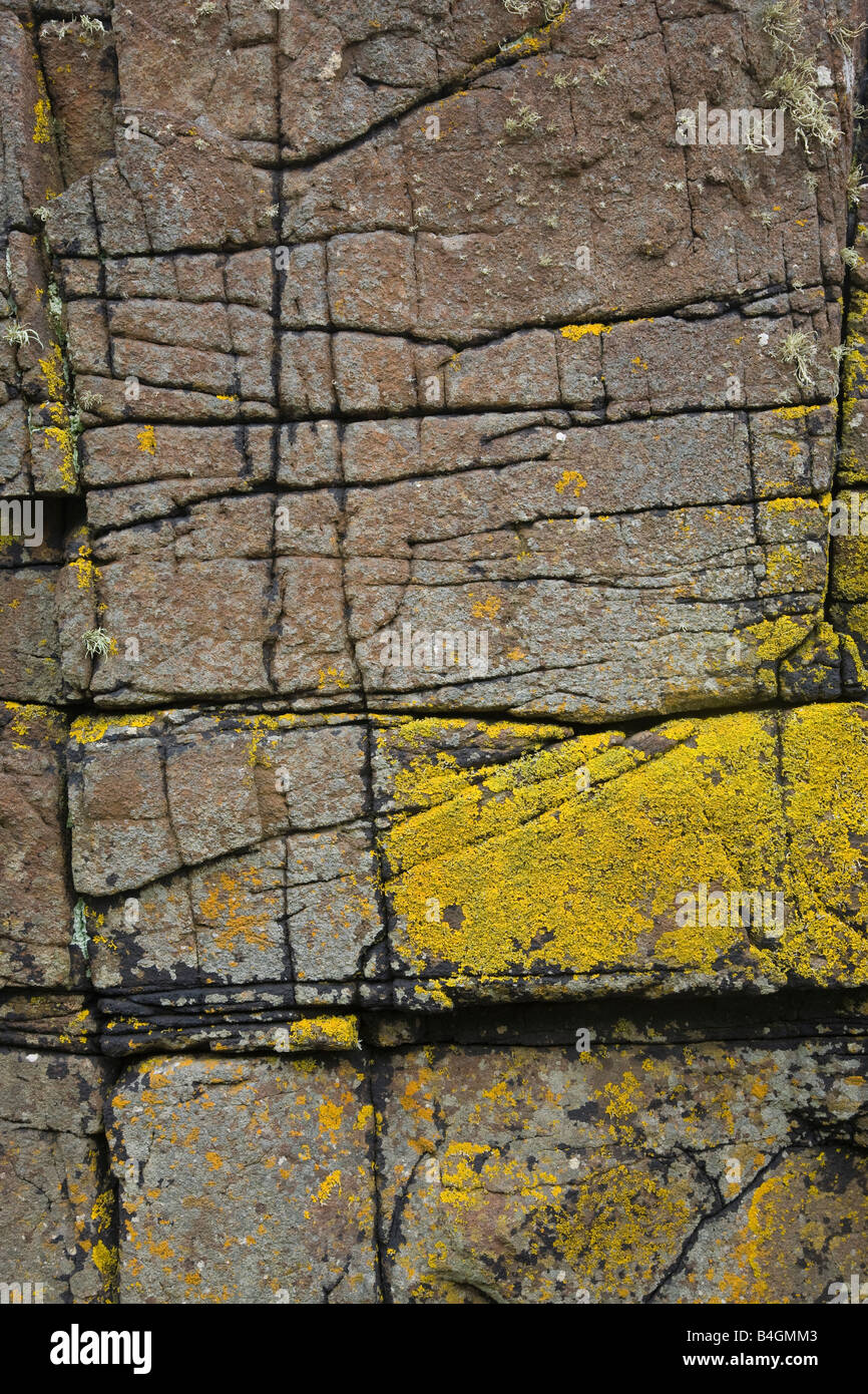 Lichens on rocks Scotland Stock Photo