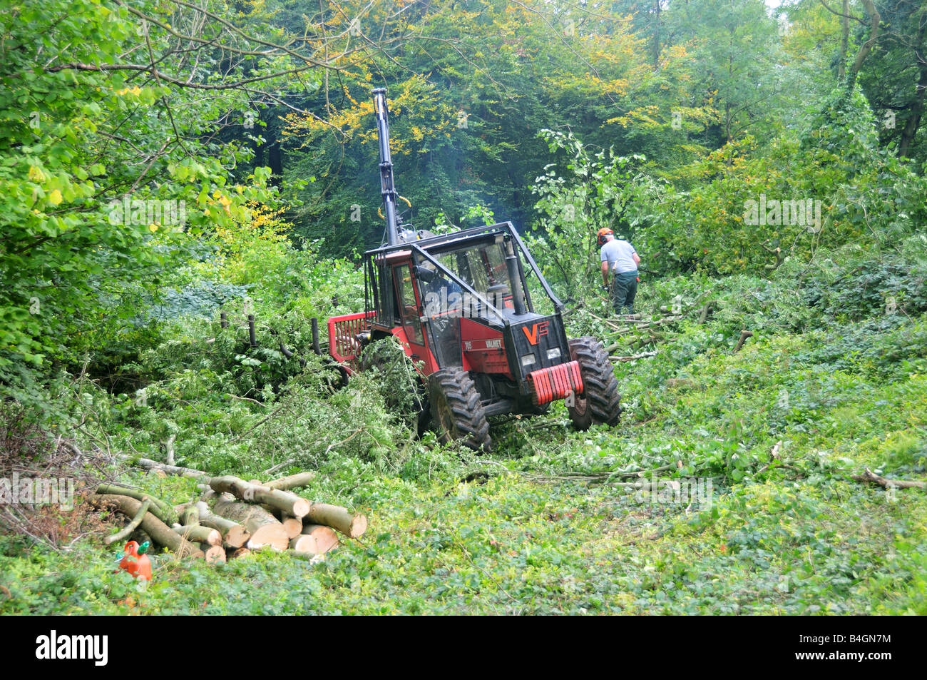 Branch cutting machine at the Forest of Dean Herefordshire England UK