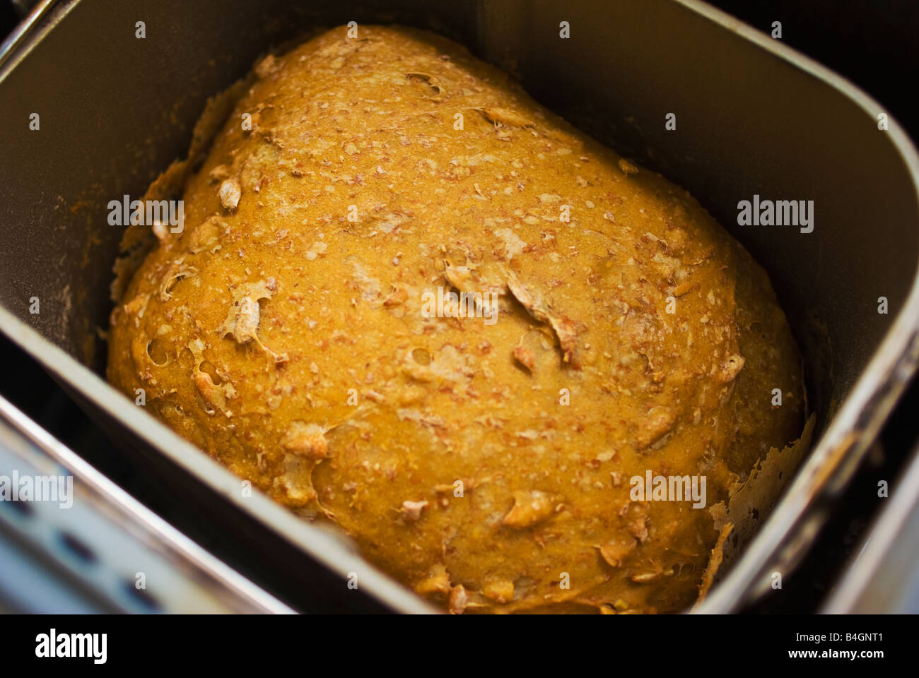 Small wholemeal brown bread loaf baked in a breadmaker Stock Photo