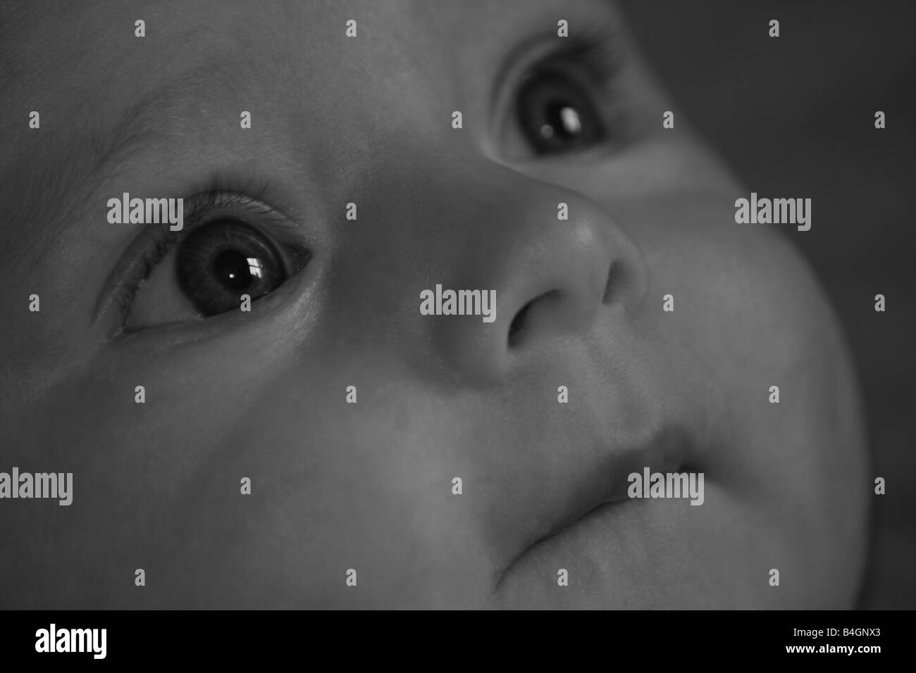 Picture of babys face in black and white with anticipated look Stock