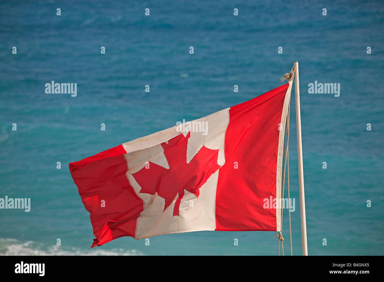A Canadian flag at the beach Stock Photo