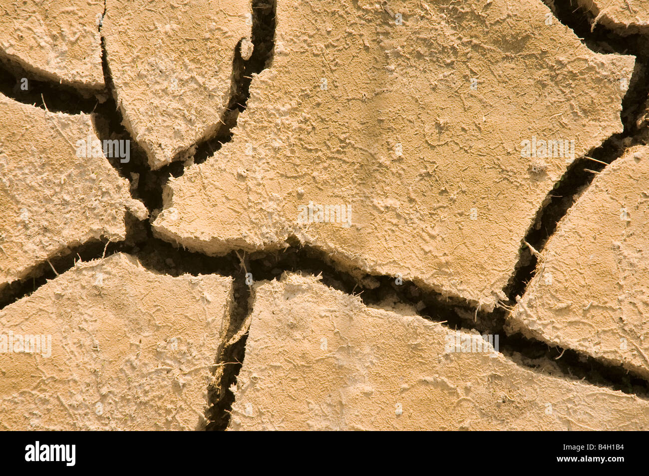 Cracks in dry soil Stock Photo Alamy