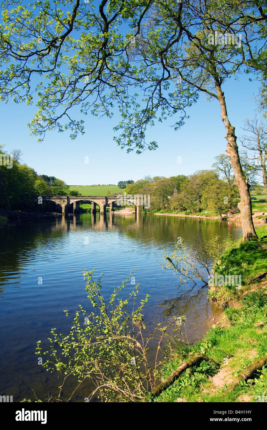 Crook o Lune near Lancaster Lancashire Stock Photo Alamy