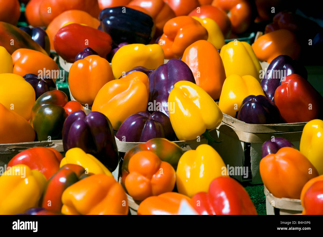 Various coloured peppers for sale at a Farmer's Market Stock Photo Alamy