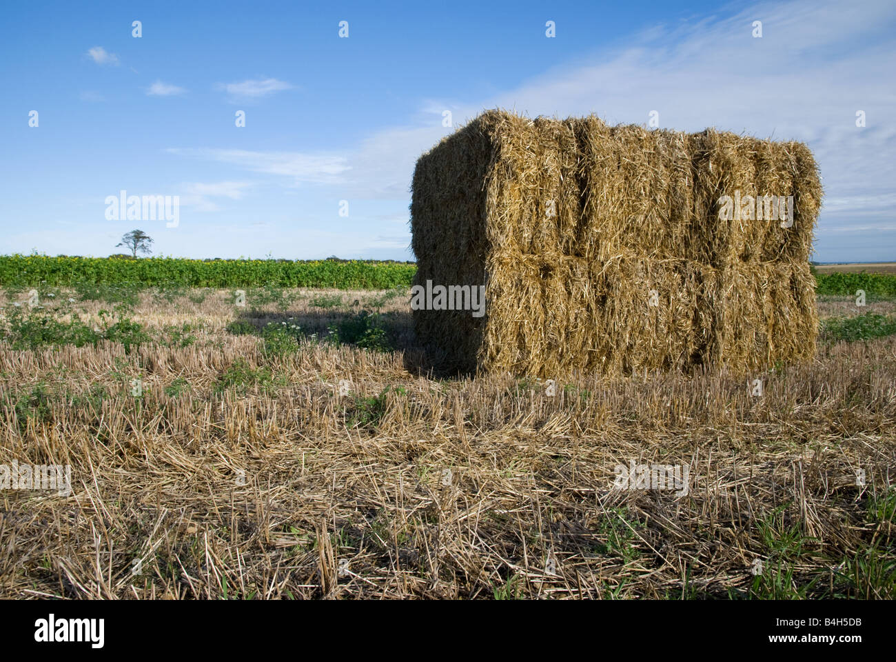 Lincolnshire haystack hi-res stock photography and images - Alamy