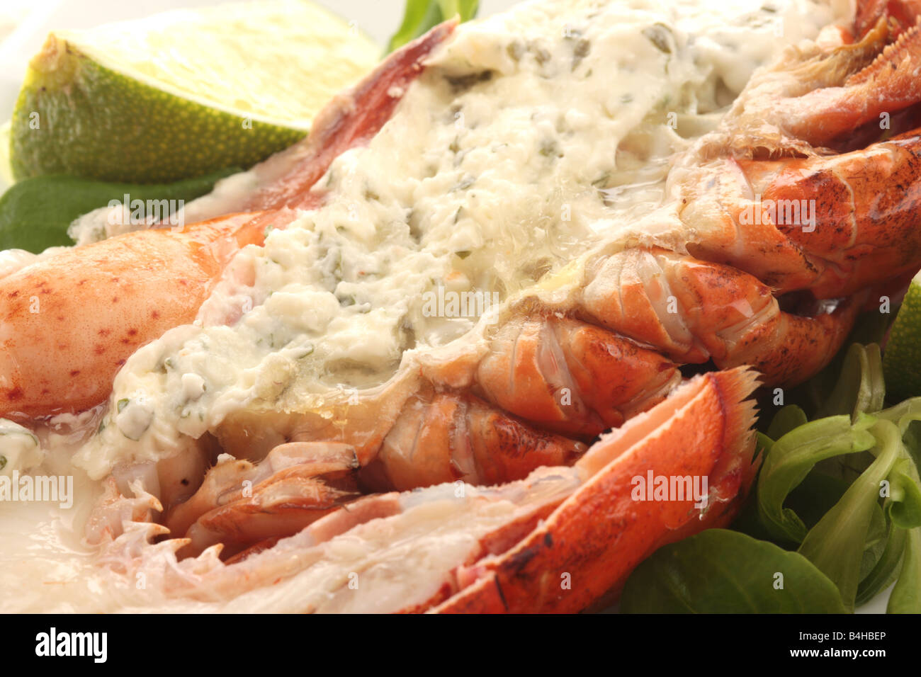 Baked lobster thermidor hires stock photography and images Alamy