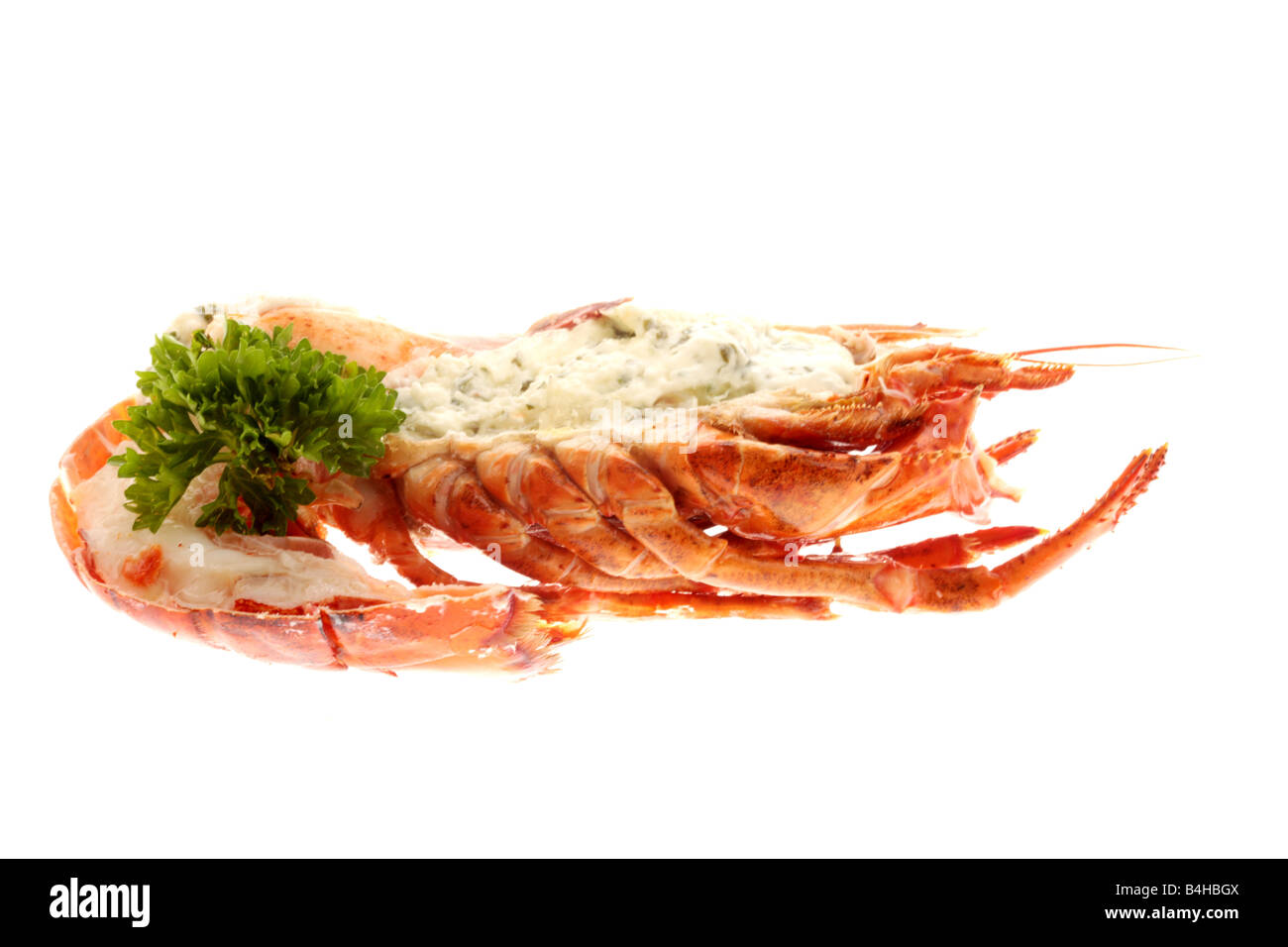 Fresh Delicious Luxury Canadian Dressed Lobster, Prepared And Cooked In