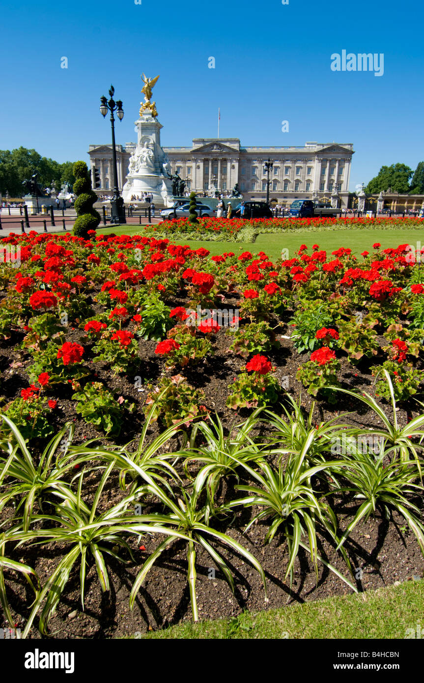 Flowers blooming in garden with palace in background Buckingham Palace City Of Westminster London England Stock Photo