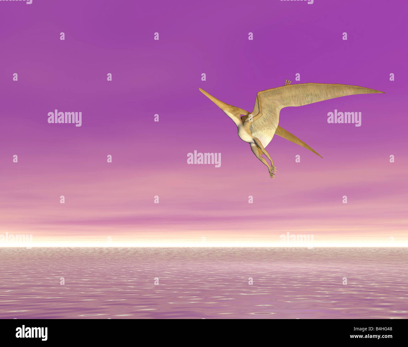My Image 27