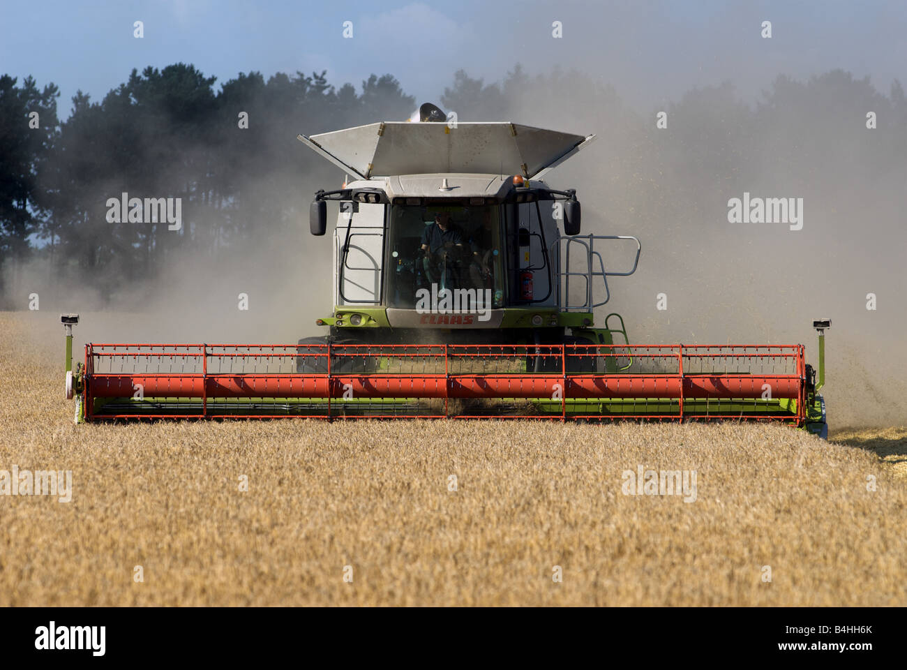 Cutting wheat crop uk hi-res stock photography and images - Alamy