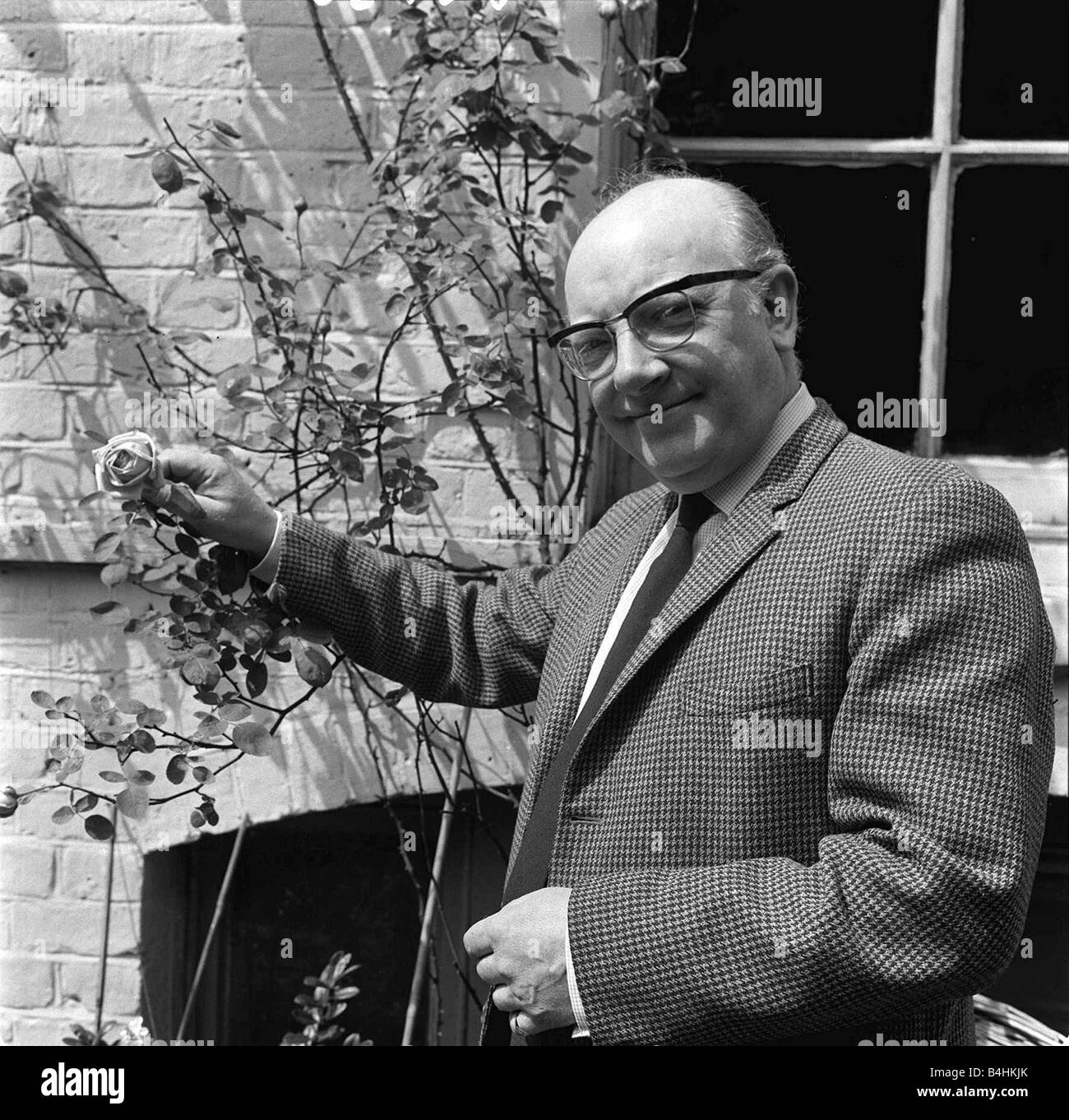 Arthur Lowe actor in his garden June 1965 Stock Photo Alamy