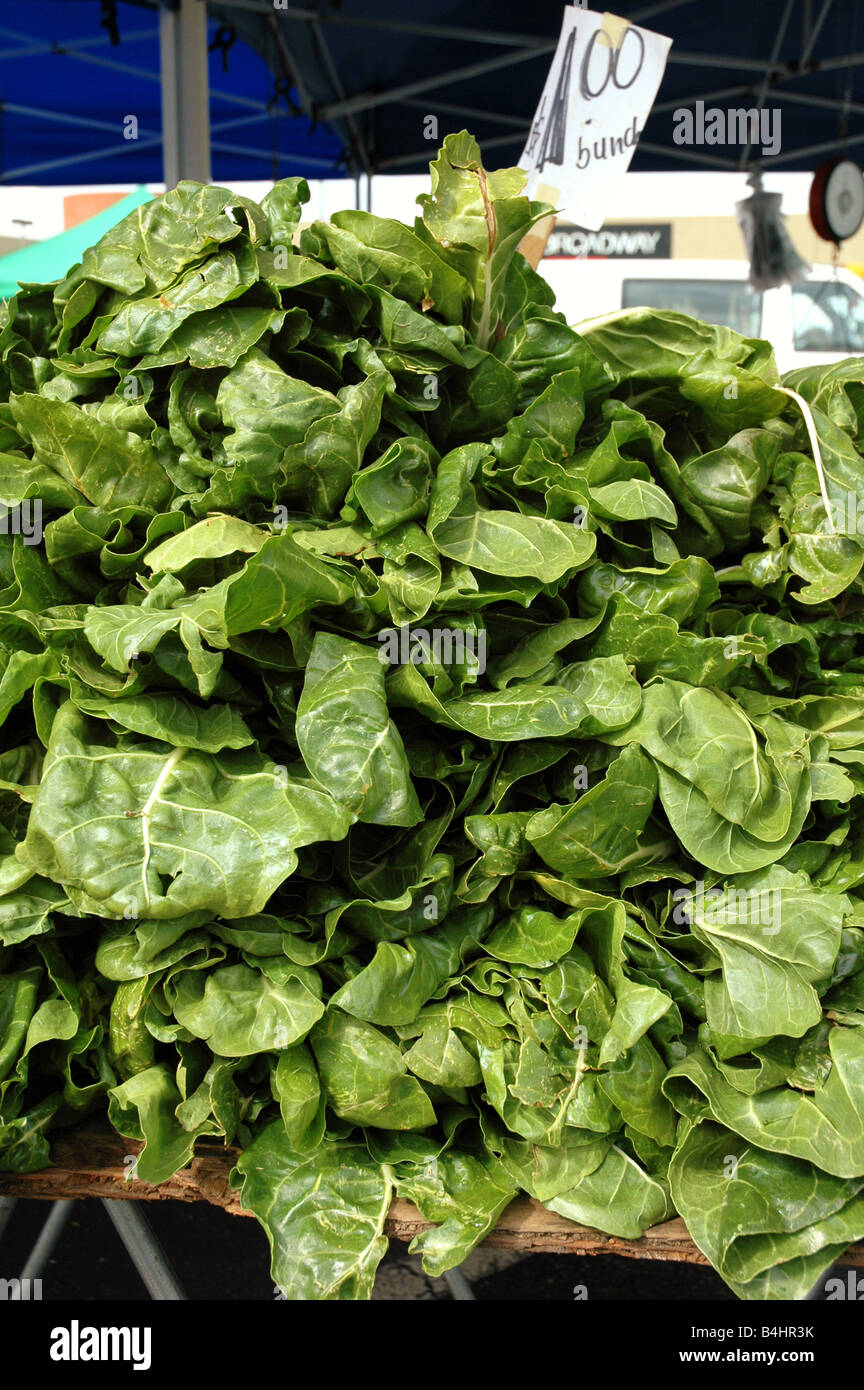 Bin of leafy greens at a farmers market Stock Photo Alamy