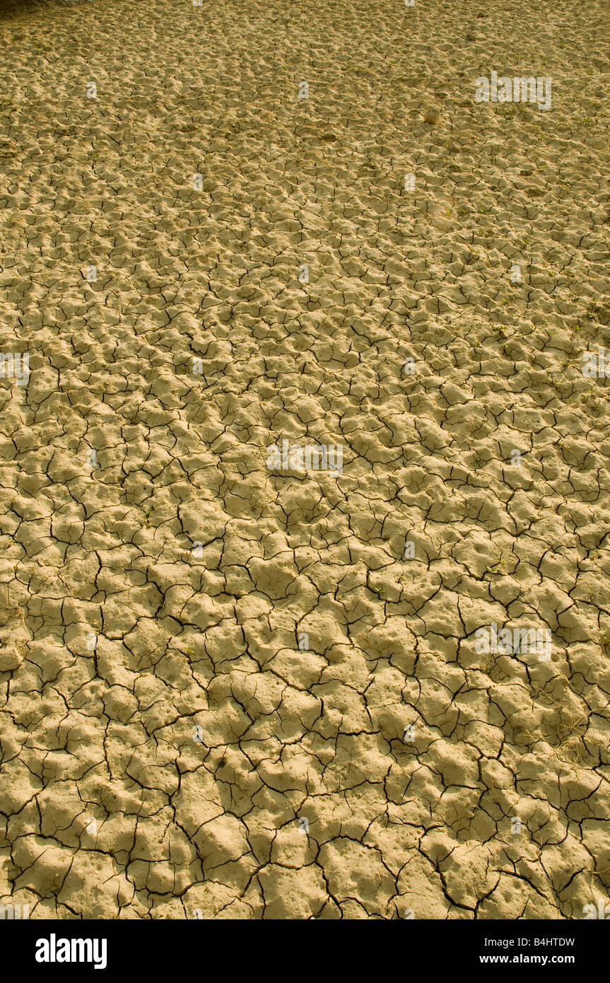 Infertile Soil High Resolution Stock Photography and Images Alamy
