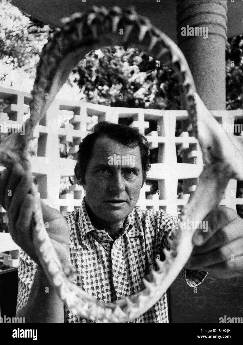 Robert Shaw Actor with shark Jaws June 1975 Stock Photo